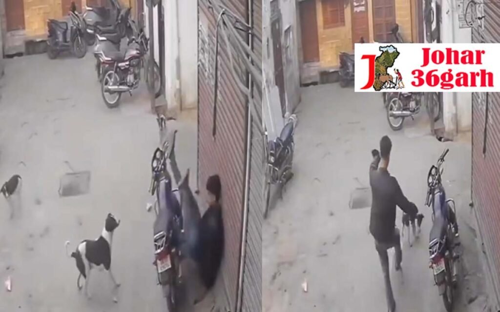 राह चलते कुत्ते के बच्चे को मारना पड़ा महंगा