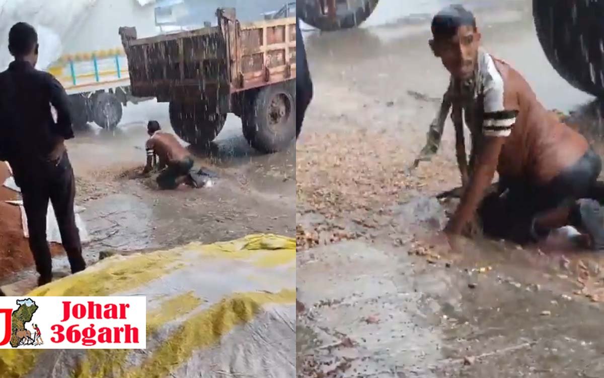 तेज बारिश से फसल को बचाता रहा किसान, आँखों के सामने ही मेहनत को बहा ले गई पानी, बेबस किसान का विडियो