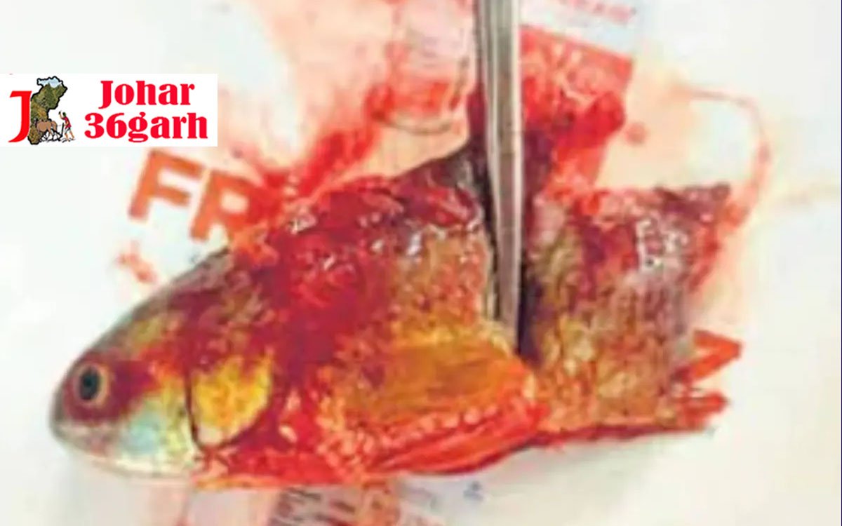 महिला के गले में फंसी जिंदा मछली, ऑपरेशन कर निकली गले मछली, बाल-बाल बची महिला जान