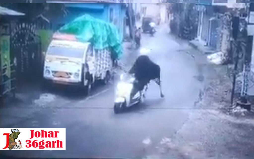 स्कूटी चुराते कैमरा में कैद हुआ सांड, आपको विश्वास नहीं होगा