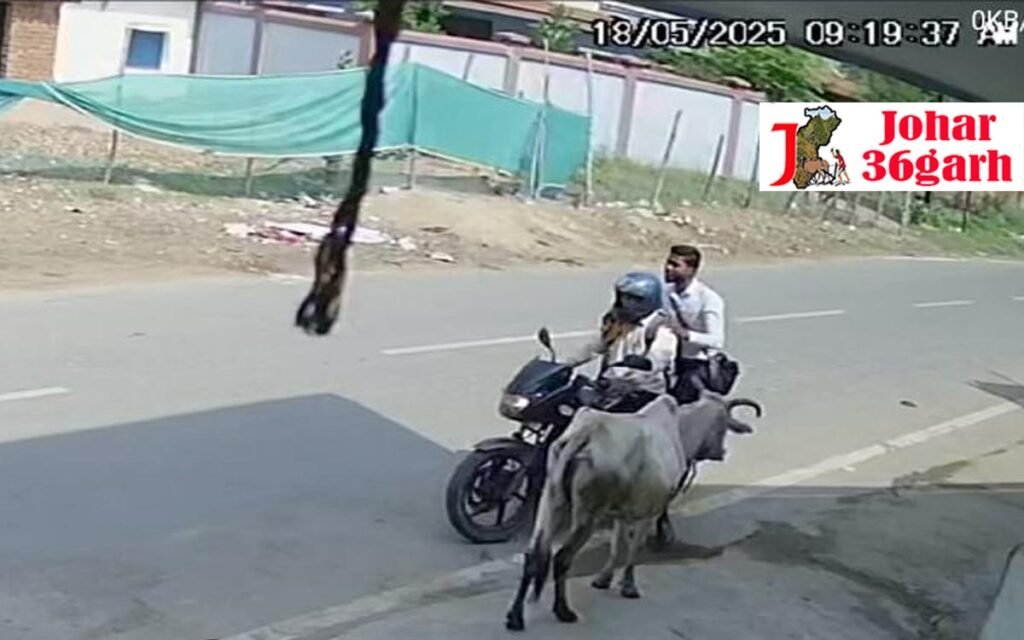 दिनदहाड़े उठाईगिरी, 2 जगहों से बर्तन साफ करने बहाने सोने के जेवरात पार, आरोपियों का विडियो आया सामने