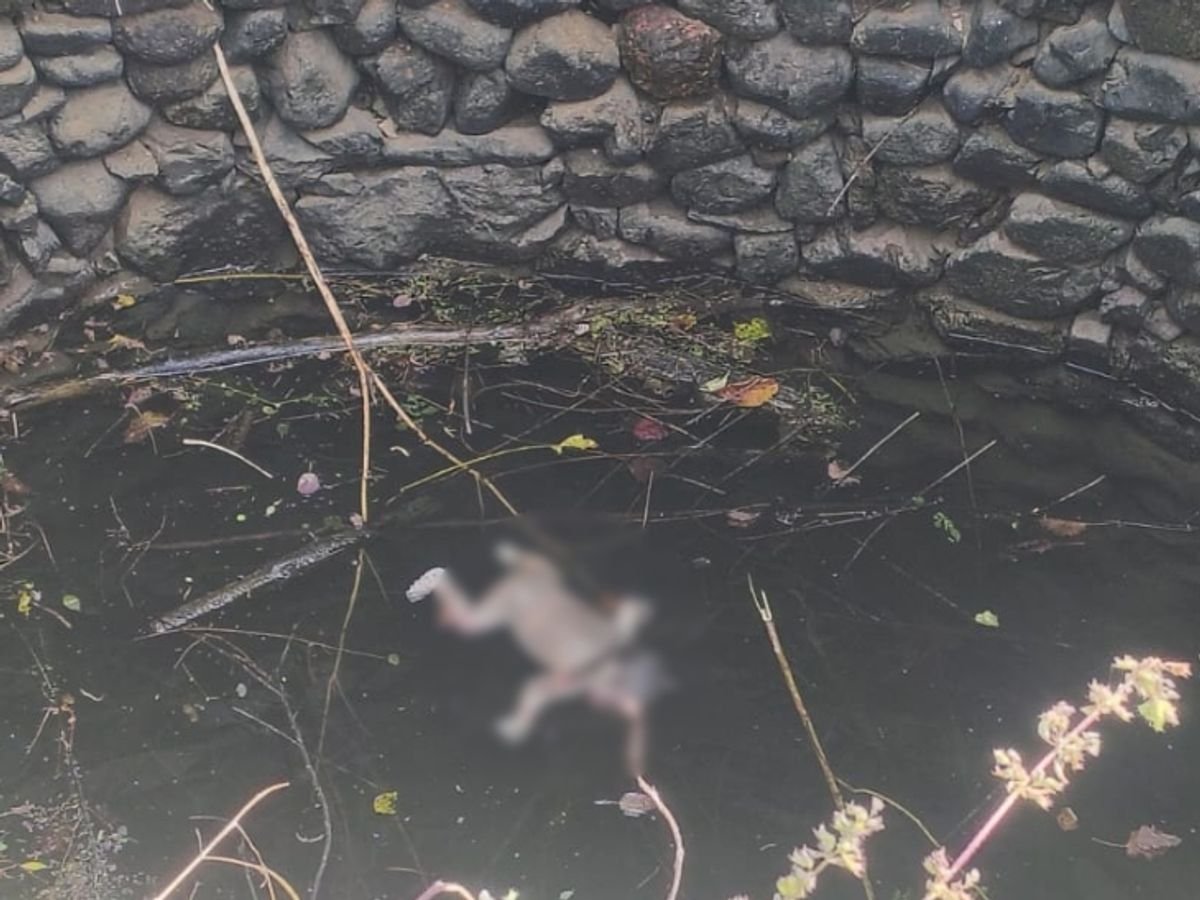 दो दांतों के साथ पैदा हुआ मासूम