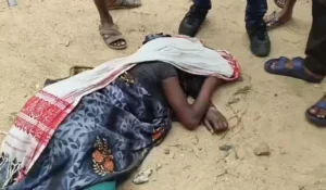 दर्दनाक सड़क हादसा