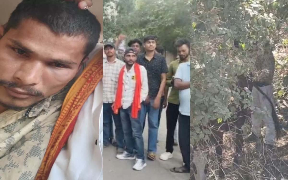 गाय के साथ अनाचार