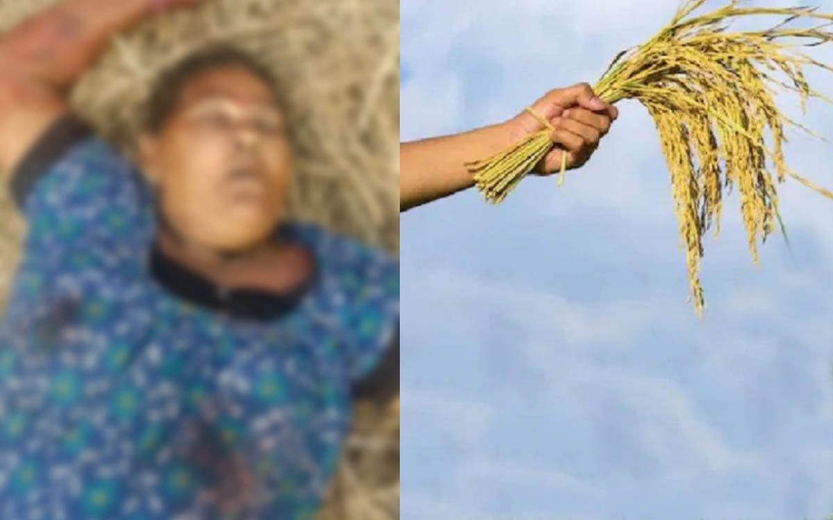 सीला बिनने गई महिला को ट्रेक्टर ने रौंदा