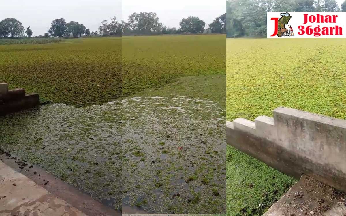 झलमला पंचायत में झोलमाल, कलेक्टर से हुई शिकायत, निरीक्षण के लिए बनी टीम