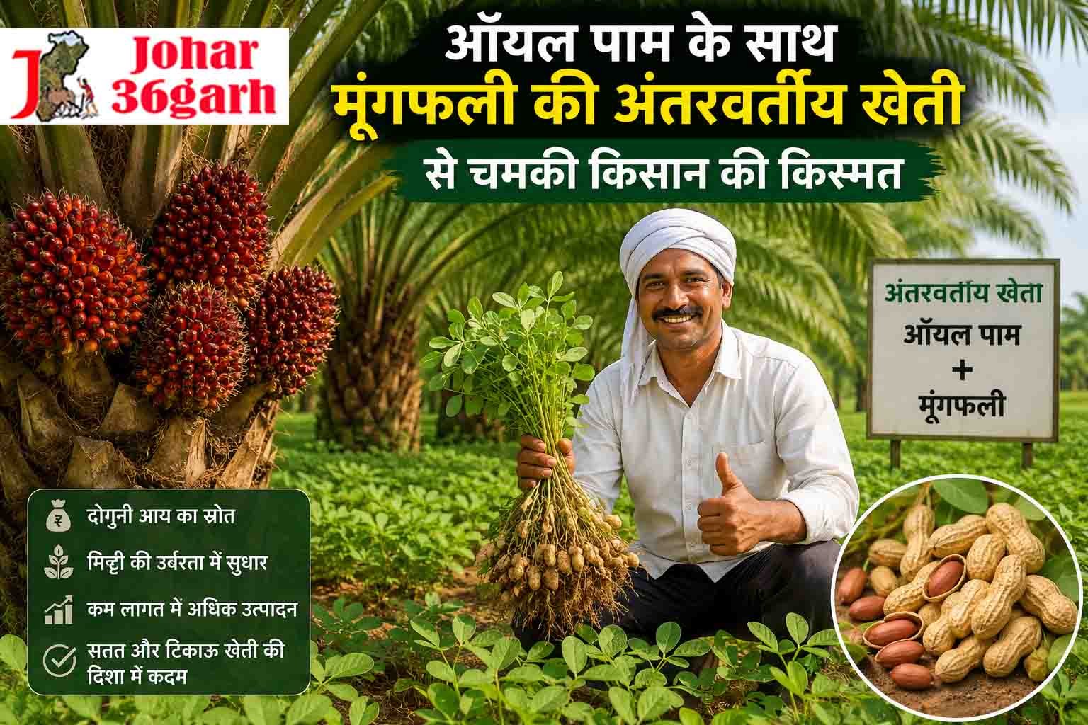 ऑयल पाम के साथ मूंगफली की अंतरवर्तीय खेती से चमकी किसान की किस्मत